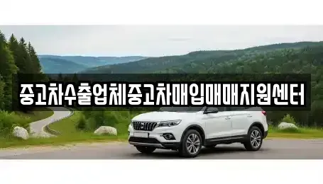 서울 중구 충정로1가 중고차매입 전문 중고차수출업체중고차매입매매지원센터