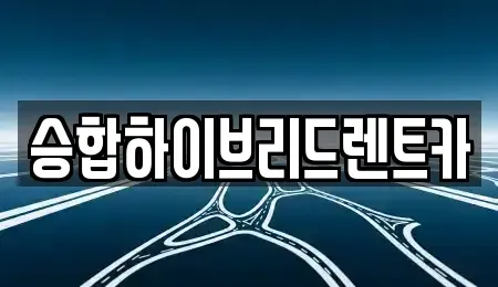 서울 중랑구 중화동 단기렌트카 전문 승합하이브리드렌트카