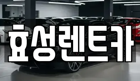 서울 중랑구 중화동 렌트카 전문 효성렌트카
