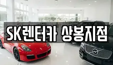 서울 중랑구 중화동 장기렌트카 전문 SK렌터카 상봉지점