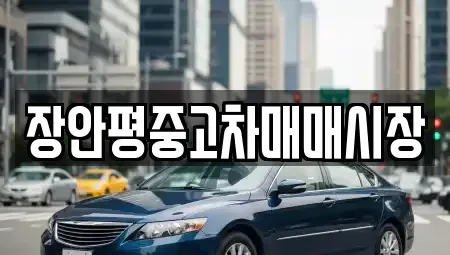 서울 중랑구 중화동 중고차 전문 장안평중고차매매시장