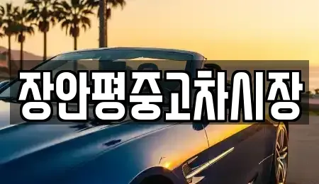 서울 중랑구 중화동 중고차 전문 장안평중고차시장