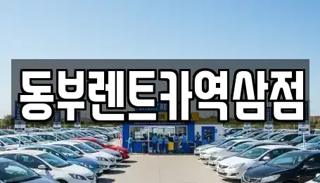 서울특별시 강남구 도곡동 렌트카 전문 동부렌트카역삼점