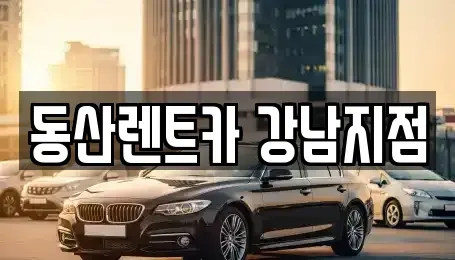 서울특별시 강남구 도곡동 렌트카 전문 동산렌트카 강남지점
