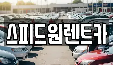 서울특별시 강남구 도곡동 렌트카 전문 스피드원렌트카