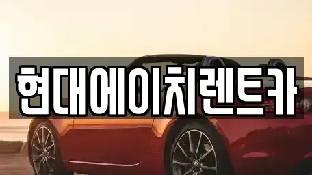서울특별시 강남구 도곡동 렌트카 전문 현대에이치렌트카