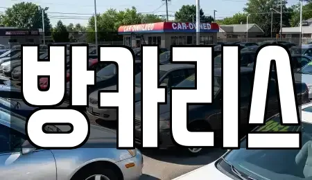서울특별시 강남구 도곡동 장기렌트카 전문 방카리스
