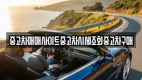 서울특별시 강남구 도곡동 중고차 전문 중고차매매사이트중고차시세조회중고차구매