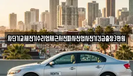 서울특별시 강남구 도곡동 중고차매입 전문 차단기교체전기수리업체근처전파사전업사전기긴급출장3만원