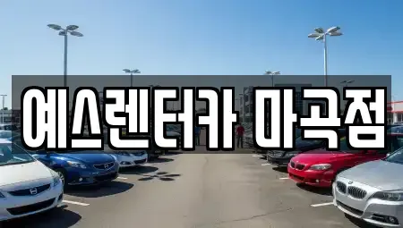 서울특별시 강서구 화곡동 단기렌트카 전문 예스렌터카 마곡점