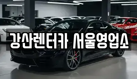 서울특별시 강서구 화곡동 렌트카 전문 강산렌터카 서울영업소