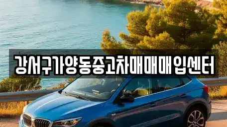 서울특별시 강서구 화곡동 중고차 전문 강서구가양동중고차매매매입센터
