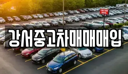 서울특별시 강서구 화곡동 중고차 전문 강서중고차매매매입