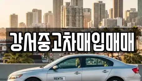 서울특별시 강서구 화곡동 중고차 전문 강서중고차매입매매