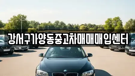 서울특별시 강서구 화곡동 중고차매매 전문 강서구가양동중고차매매매입센터