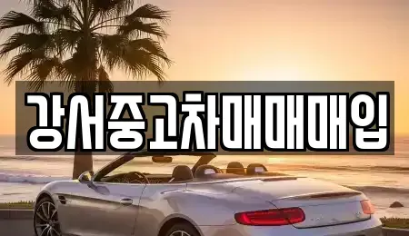 서울특별시 강서구 화곡동 중고차매매 전문 강서중고차매매매입