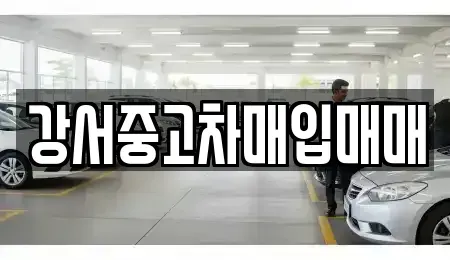 서울특별시 강서구 화곡동 중고차매매,단기렌트카,중고차매입,장기렌트카,중고차,렌트카