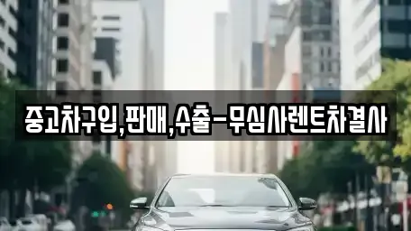 서울특별시 강서구 화곡동 중고차매매 전문 중고차구입,판매,수출-무심사렌트차결사