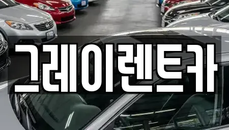 서울특별시 관악구 봉천동 장기렌트카 전문 그레이렌트카