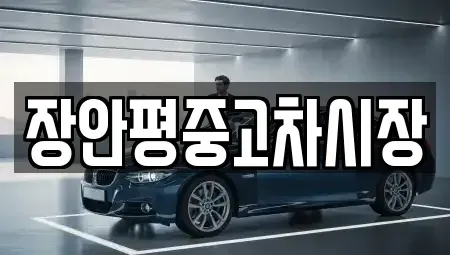 서울특별시 관악구 봉천동 중고차 전문 장안평중고차시장