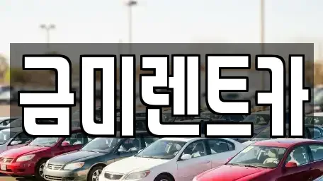 서울특별시 구로구 오류동 렌트카 전문 금미렌트카