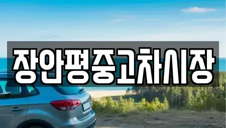 서울특별시 구로구 오류동 중고차매매 전문 장안평중고차시장