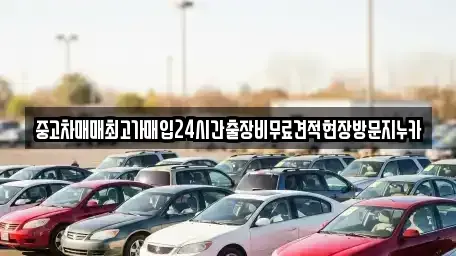 서울특별시 구로구 오류동 중고차매입 전문 중고차매매최고가매입24시간출장비무료견적현장방문지누카