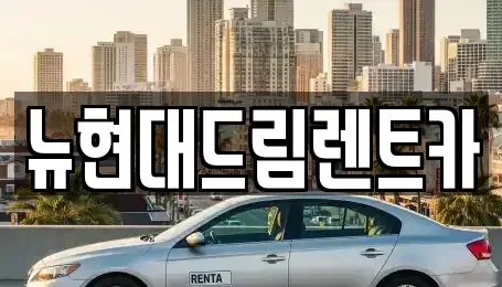 서울특별시 금천구 독산동 렌트카 전문 뉴현대드림렌트카