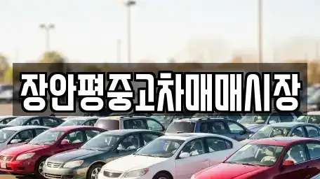 서울특별시 금천구 독산동 중고차매매 전문 장안평중고차매매시장