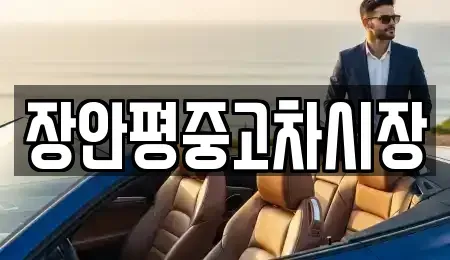 서울특별시 금천구 독산동 중고차매매 전문 장안평중고차시장