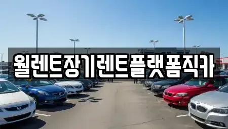 서울특별시 노원구 상계동 장기렌트카 전문 월렌트장기렌트플랫폼직카
