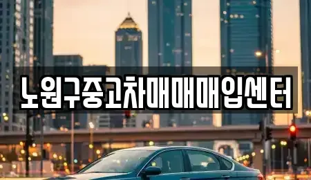 서울특별시 노원구 상계동 중고차 전문 노원구중고차매매매입센터