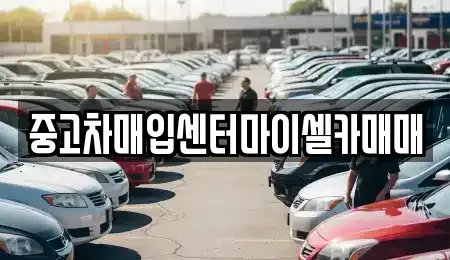 서울특별시 노원구 상계동 중고차매입 전문 중고차매입센터마이셀카매매