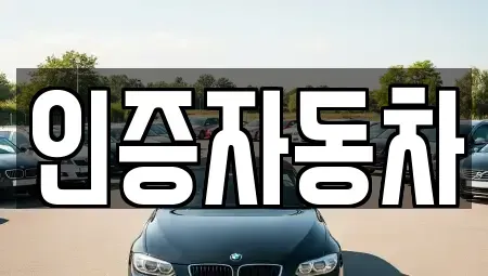 서울특별시 동대문구 청량리동 중고차 전문 인증자동차