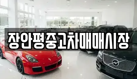 서울특별시 동대문구 청량리동 중고차매매,단기렌트카,중고차매입,장기렌트카,중고차,렌트카
