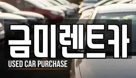서울특별시 마포구 당인동 렌트카 전문 금미렌트카