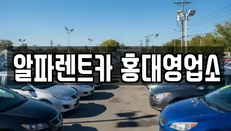 서울특별시 마포구 당인동 렌트카 전문 알파렌트카 홍대영업소