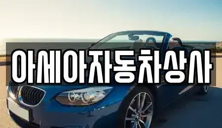 서울특별시 마포구 당인동 중고차 전문 아세아자동차상사