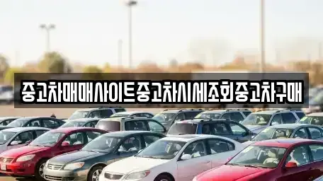 서울특별시 마포구 당인동 중고차 전문 중고차매매사이트중고차시세조회중고차구매