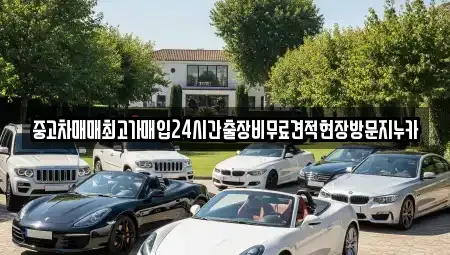 서울특별시 마포구 당인동 중고차 전문 중고차매매최고가매입24시간출장비무료견적현장방문지누카