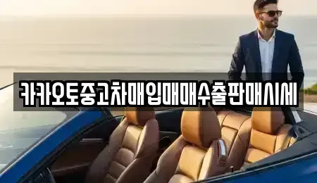 서울특별시 마포구 당인동 중고차매입 전문 카카오토중고차매입매매수출판매시세