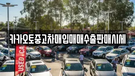 서울특별시 마포구 상수동 중고차매입 전문 카카오토중고차매입매매수출판매시세