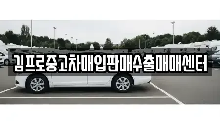 서울특별시 서대문구 대현동 중고차 전문 김프로중고차매입판매수출매매센터