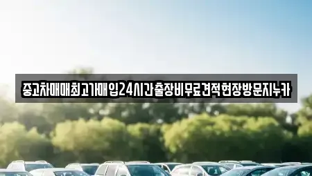 서울특별시 서대문구 대현동 중고차 전문 중고차매매최고가매입24시간출장비무료견적현장방문지누카