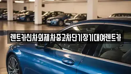 서울특별시 서초구 내곡동 단기렌트카 전문 렌트카신차외제차중고차단기장기대여렌트카