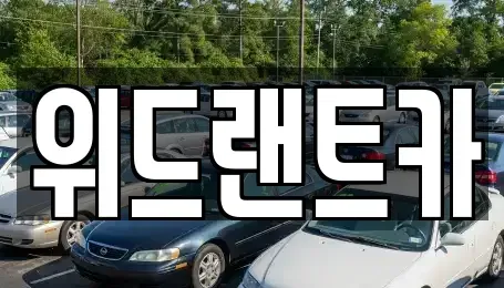 서울특별시 서초구 내곡동 단기렌트카 전문 위드랜트카