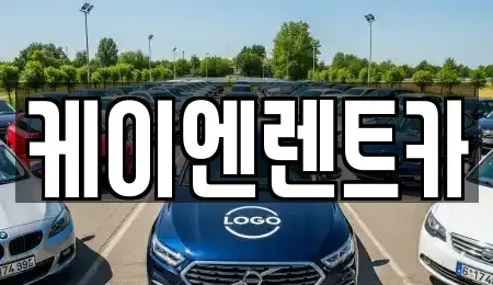 서울특별시 서초구 내곡동 렌트카 전문 케이엔렌트카