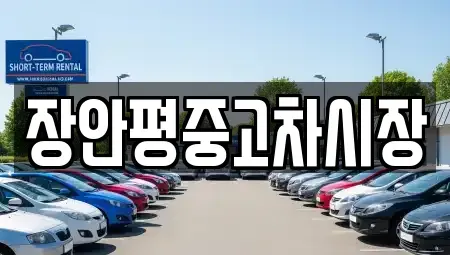 서울특별시 서초구 내곡동 중고차매매 전문 장안평중고차시장