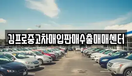 서울특별시 서초구 내곡동 중고차매입 전문 김프로중고차매입판매수출매매센터
