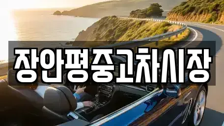 서울특별시 성동구 사근동 중고차매매 전문 장안평중고차시장